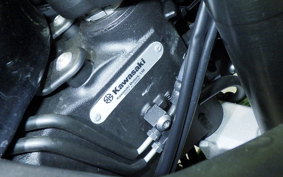 KAWASAKI NINJA 1000 SX 2023 ZXT02K