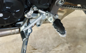 DUCATI ドカムルティストラダ950 2019 AA06J