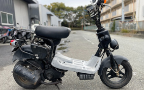 SUZUKI CHOINORISS CELL CZ41A