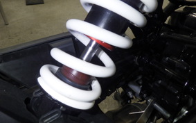 HUSQVARNA SVARTPILEN 401 2021