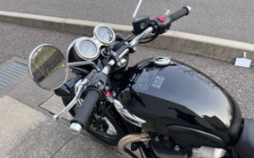 TRIUMPH BONNEVILLE T100 2025 D4BG25