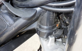 KAWASAKI ZEPHYR 1100 2024 ZRT10A