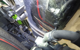 KAWASAKI NINJA 250 2022 EX250L