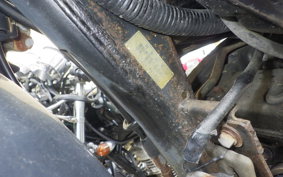 KAWASAKI SUPER SHERPA 2020 KL250G