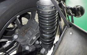 HARLEY XL883N 2019