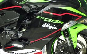 KAWASAKI ZX-25R ZX250E