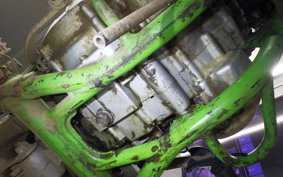 KAWASAKI KDX220SR 2010 DX220B