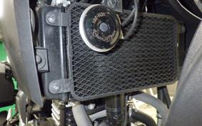 SUZUKI V-STROM 250 2023