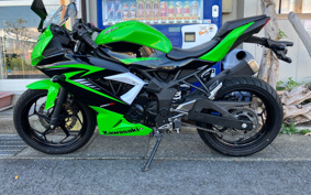 KAWASAKI Ninja 250SL BX250A