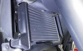 DUCATI MULTISTRADA V4S 2021