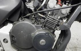 HONDA HORNET 250 MC31