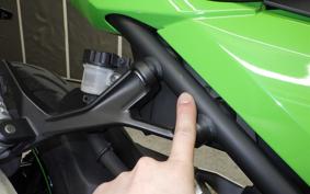 KAWASAKI NINJA 250 2023 EX250Y