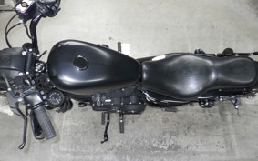 HARLEY XL883N 2017
