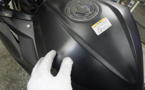 KAWASAKI NINJA 250 2019 EX250L