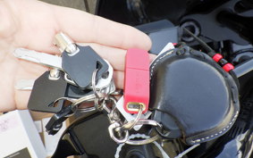 HARLEY FXLRS1860 2021