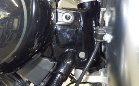 HARLEY FLFB 1750 2019