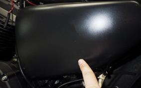 HARLEY XL883N 2021