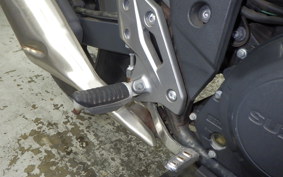 SUZUKI GSX250R 2025
