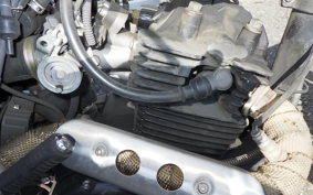 OTHER +UNREGISTERED MODEL by BDS125