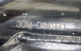 YAMAHA VIRAGO 250 3DM