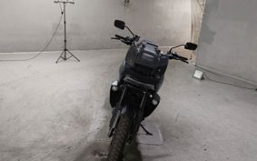 HARLEY RA1250 2021 ZDS