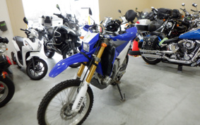 YAMAHA WR250R DG20