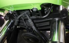 KAWASAKI ZRX1200 D 2017 ZRT20D