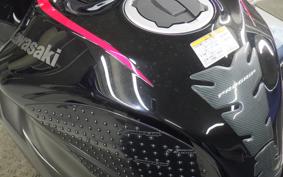 KAWASAKI NINJA ZX-6R A 2022 ZX636G