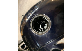 HARLEY FLSB 2019 YMJ