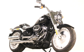 HARLEY FLFBS 2021 YGK