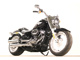 Фото Harley FLFBS 2021 с японского аукциона