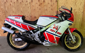 YAMAHA RZV500 R 1984 51X