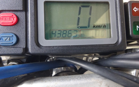 YAMAHA TT250RRAID 4GY