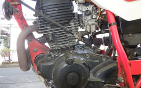 YAMAHA TW200 2024 2JL