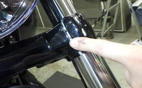 HARLEY FXBR1920 2024