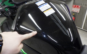 KAWASAKI ZH2 SE 2025