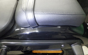 HARLEY RH975 2022