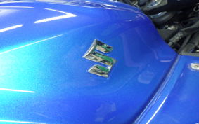 SUZUKI ｼﾞｸｻｰ250SF 2024 ED22B