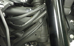 YAMAHA MT-03 ABS 2023 RH21J