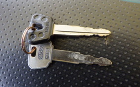 YAMAHA SEROW 250 DG11J