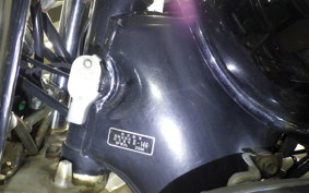 YAMAHA VIRAGO 250 2023 3DM