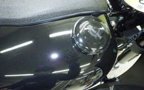 HARLEY FXLRST1920 2025