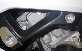 BMW S1000RR M DDC 2022