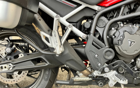 TRIUMPH TIGER 900GTARAGON 2023 TRE64D