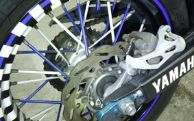 YAMAHA WR250X DG15J