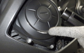 YAMAHA YZF-R25 2024 RG10J