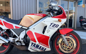 YAMAHA TZR250-1 1KT