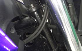 YAMAHA FZ250
