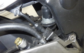 KAWASAKI Z250 ER250C