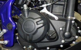 YAMAHA MT-25 RG43J
